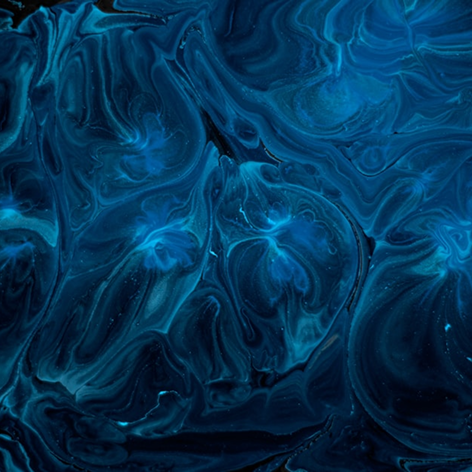 Selected Image