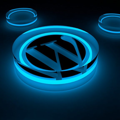 wordpress development